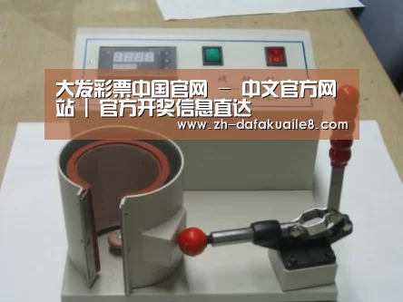 大发彩票案例展示六