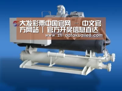 大发彩票案例展示四