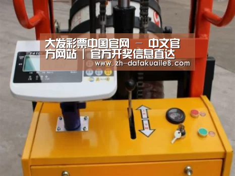 大发彩票案例展示三(图1)