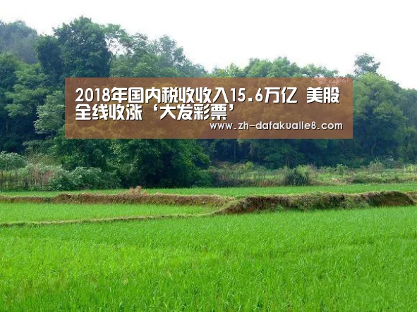 2018年国内税收收入15.6万亿 美股全线收涨‘大发彩票’(图1) 大发彩票